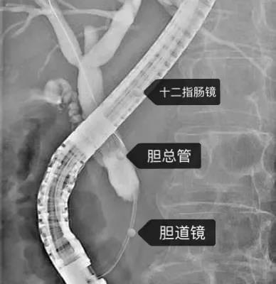 微信图片_20211223095518.jpg