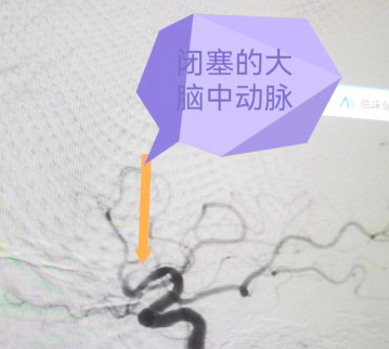 图片1.jpg