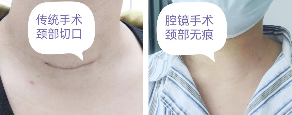 未标题-1.jpg