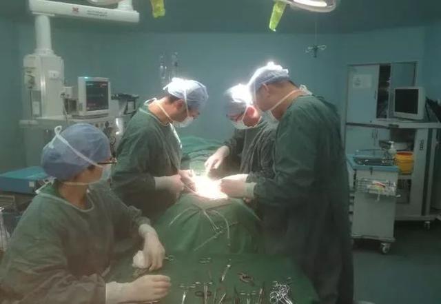 我院肝胆血管外科成功独立实施下肢动脉搭桥(转流)术